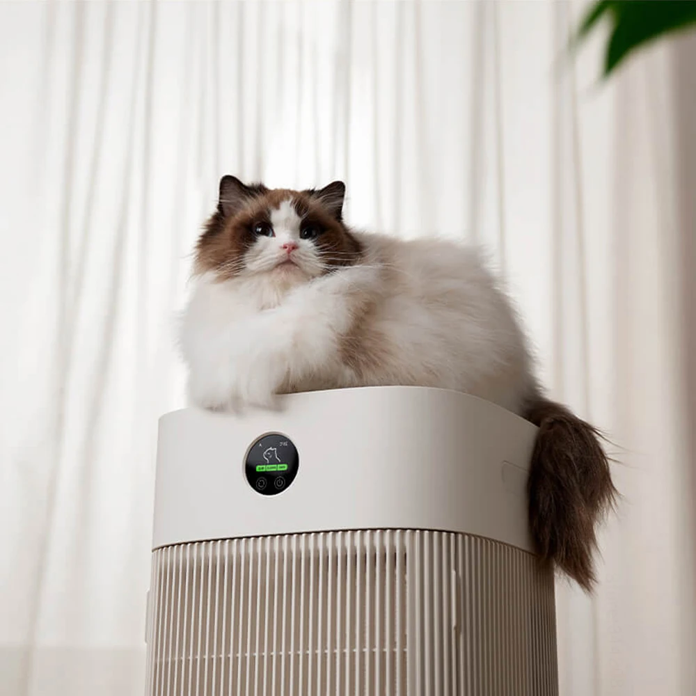 Katzenhaare absorbieren schnel – Hair Care Bewertung und Preis